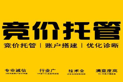 竞价推广的预算分配与优化：案例解读